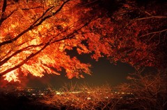 紅葉＠夜の大平山