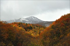 秋と冬の境目