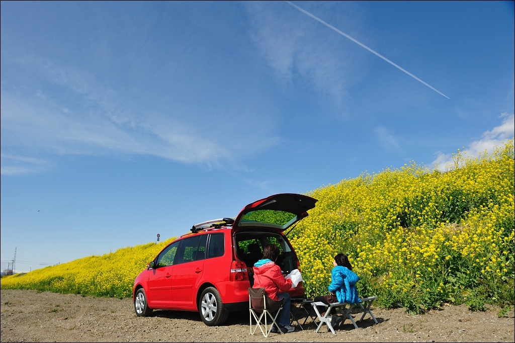 lunch and picnic.