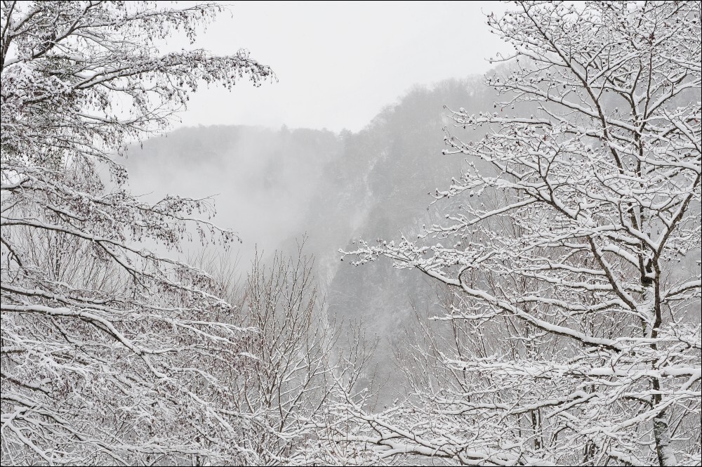 雪景色