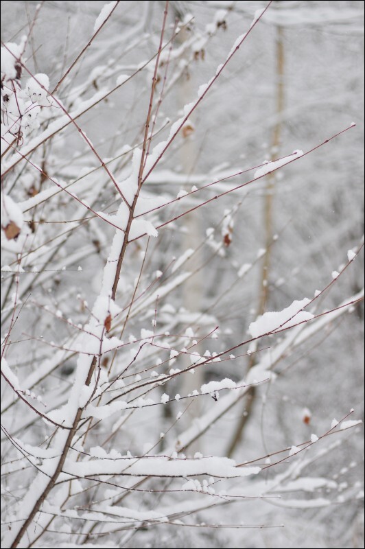 雪景色