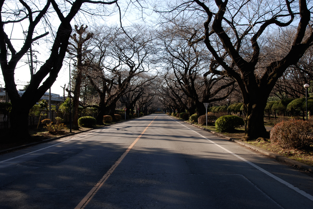 滑走路