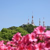 稲佐山つつじ祭り3