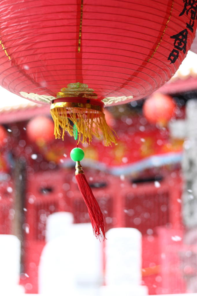 ランタン　雪に吹かれて