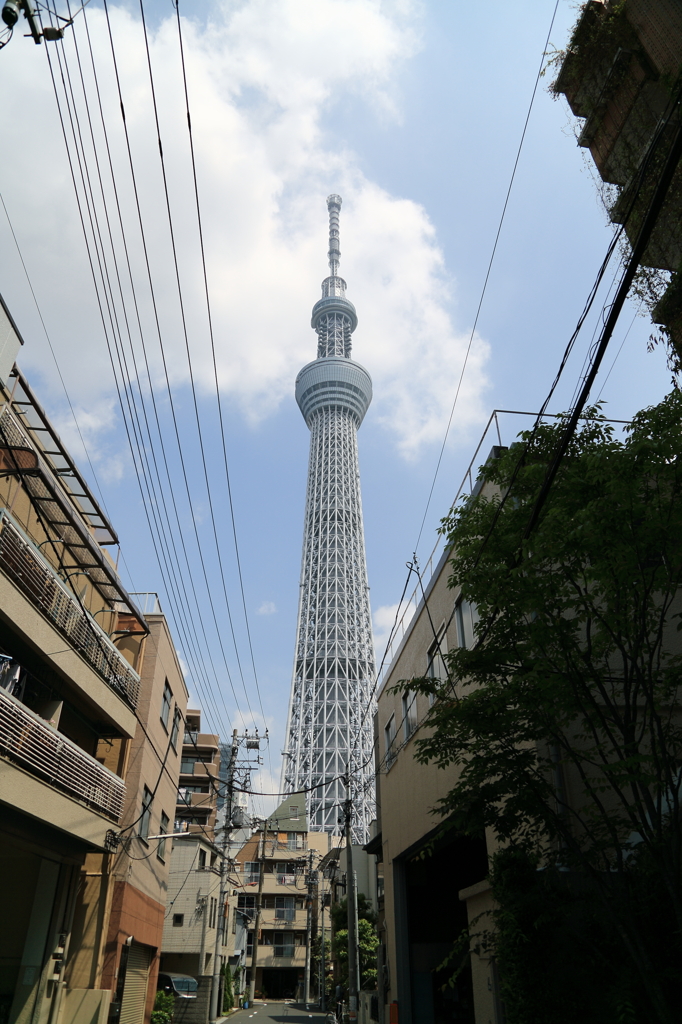 東京スカイツリー8