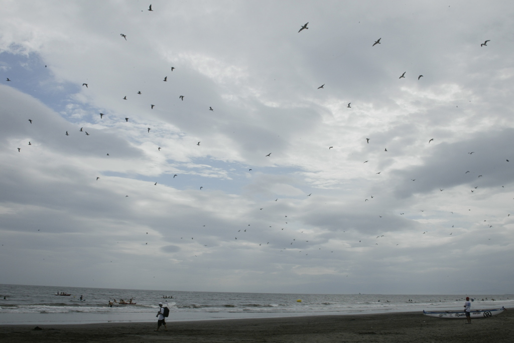 鵠沼海岸