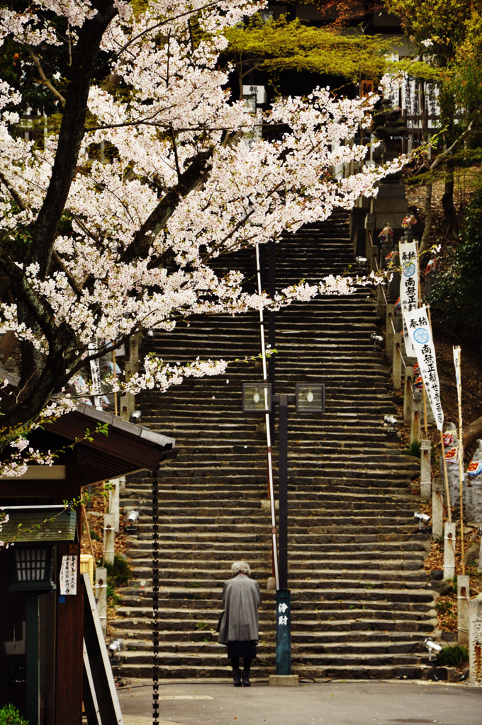 春の風景