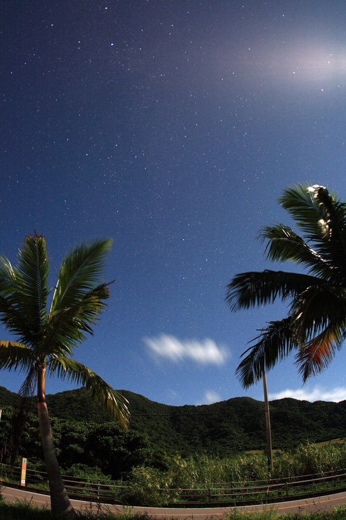 楽園の星空
