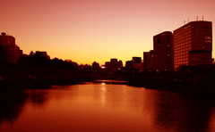 sunset_ichigaya_ll_02