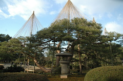 兼六園