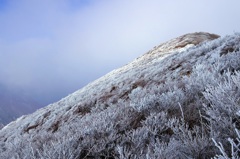 大船山の樹氷