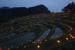 大山千枚田のかがり火