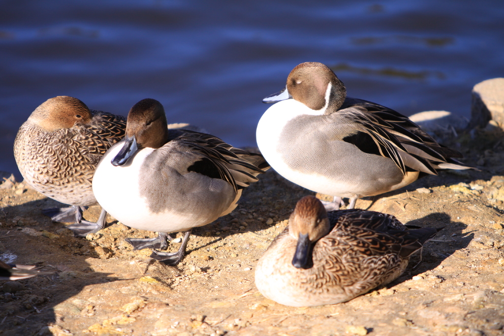 日なたにて・・・