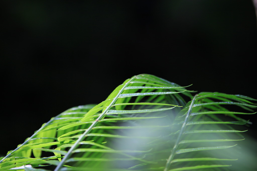 何となく・・・