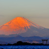 朝日を浴びて