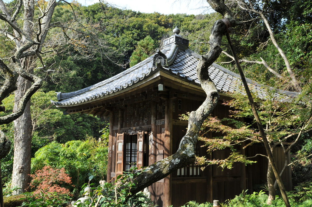 鎌倉・瑞泉寺1