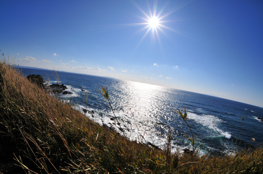 太陽と海