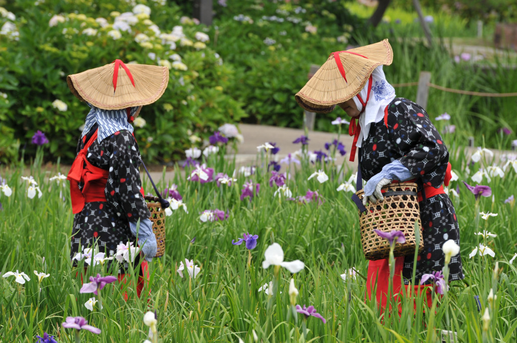 花に囲まれて