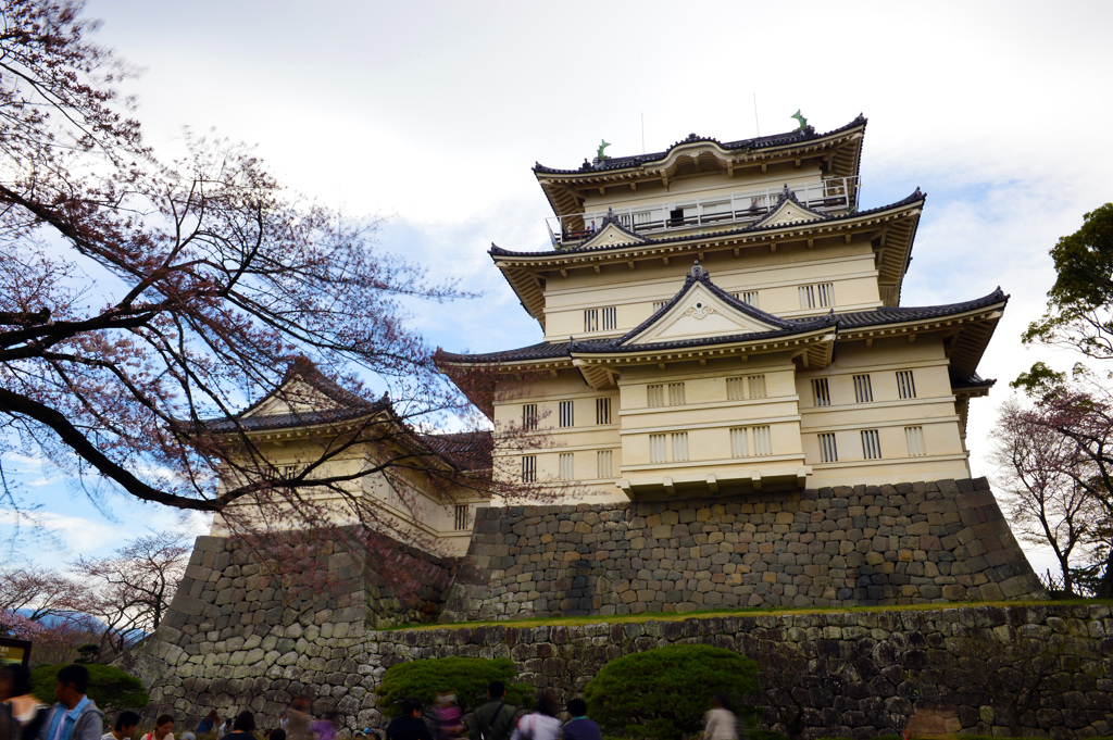 小田原城の春