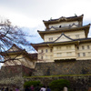 小田原城の春