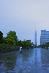 雨の公園