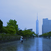 雨の公園