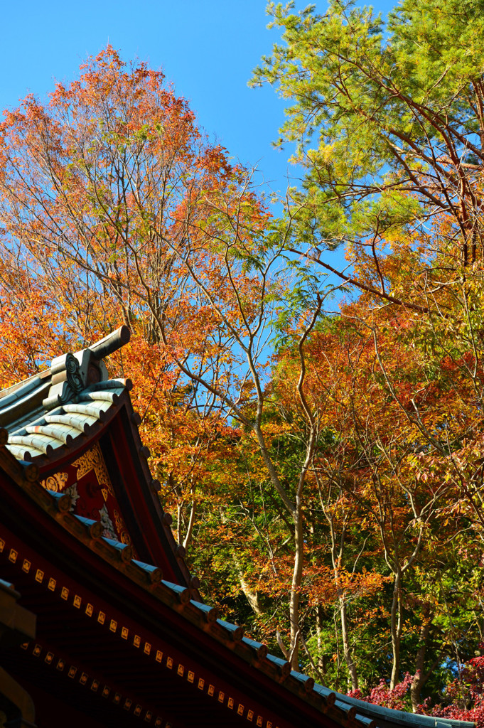 高尾山薬王院