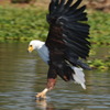 GET