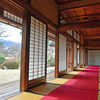 庭園を望む
