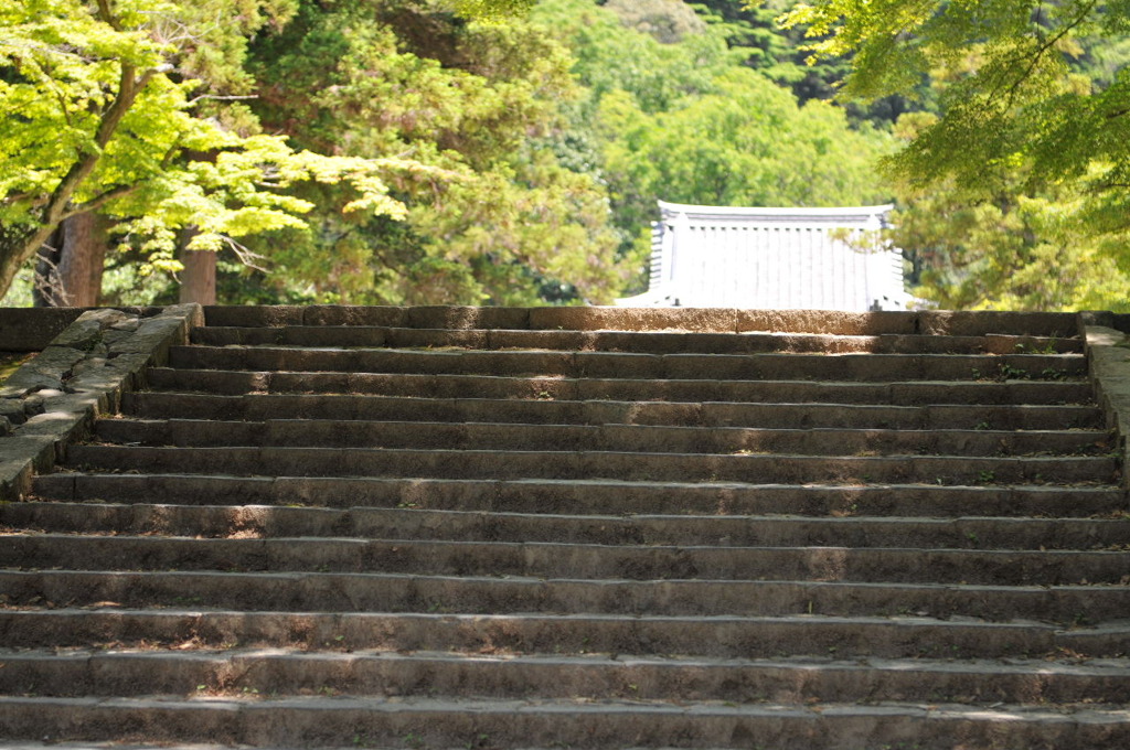 東大寺にて