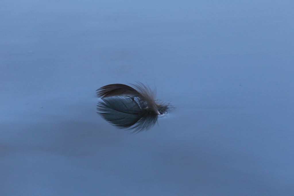 湖面