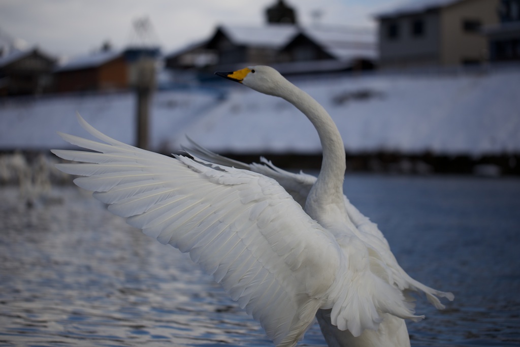 のびの〜び。