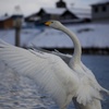 のびの〜び。