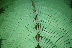 IMG_2589