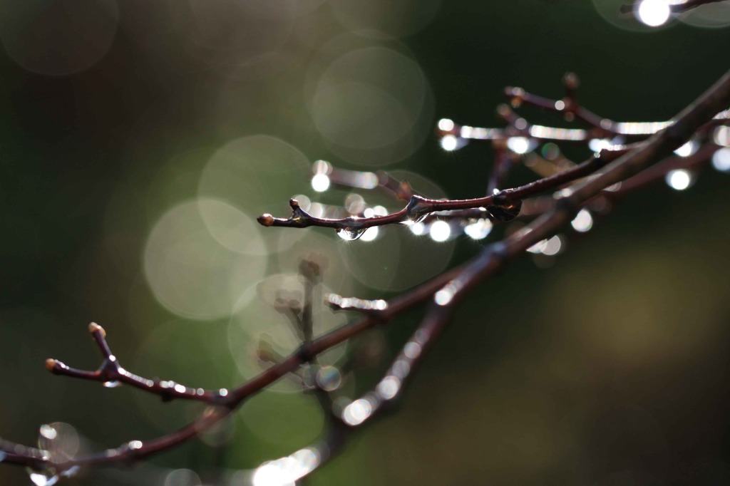 雨の日の晴れ間