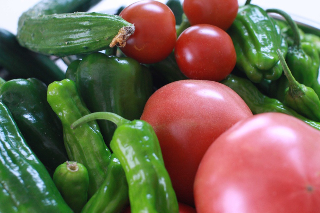 旬！てんこもり