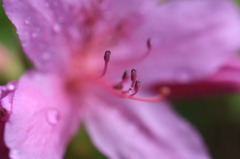 雨上がり