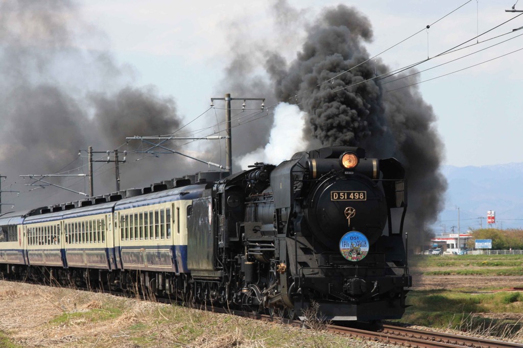 D51