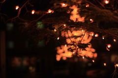 待ちどうしいクリスマス