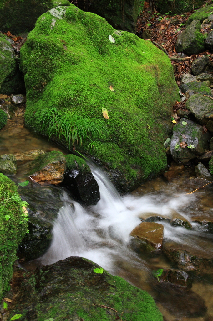 2009_07_04_5853