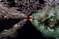 夜桜宴舞08