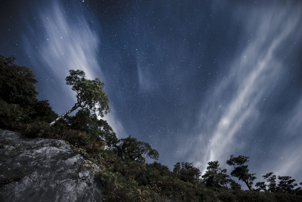 散星夜　