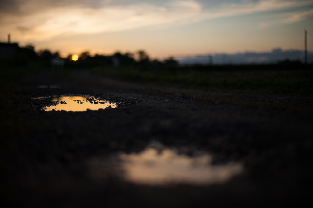 夕陽の忘れ彩