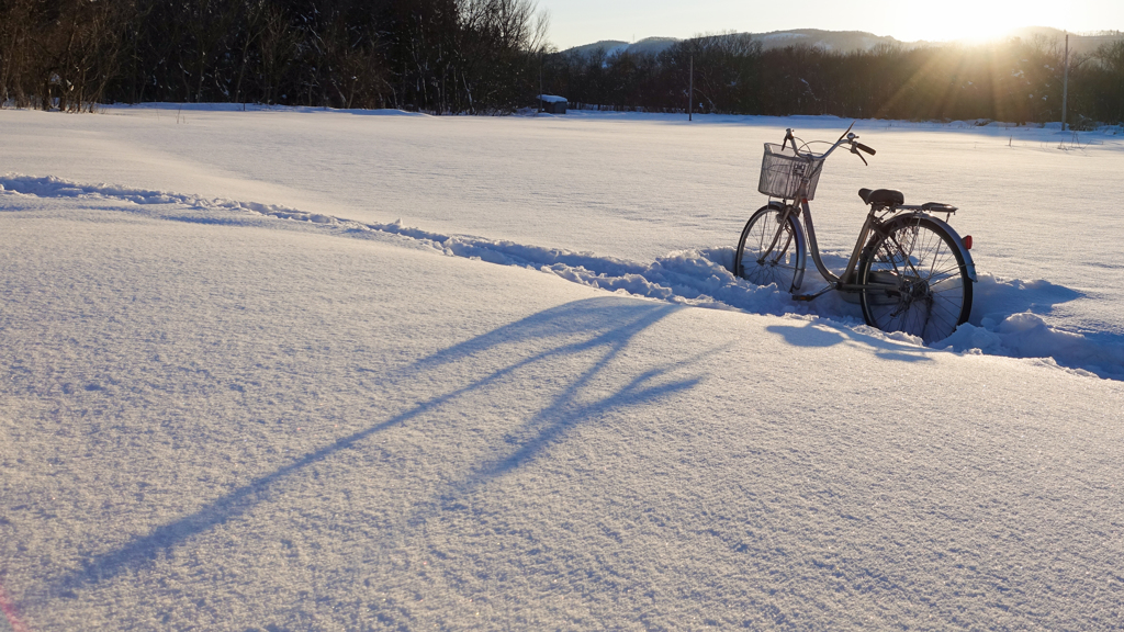 時のサイクル