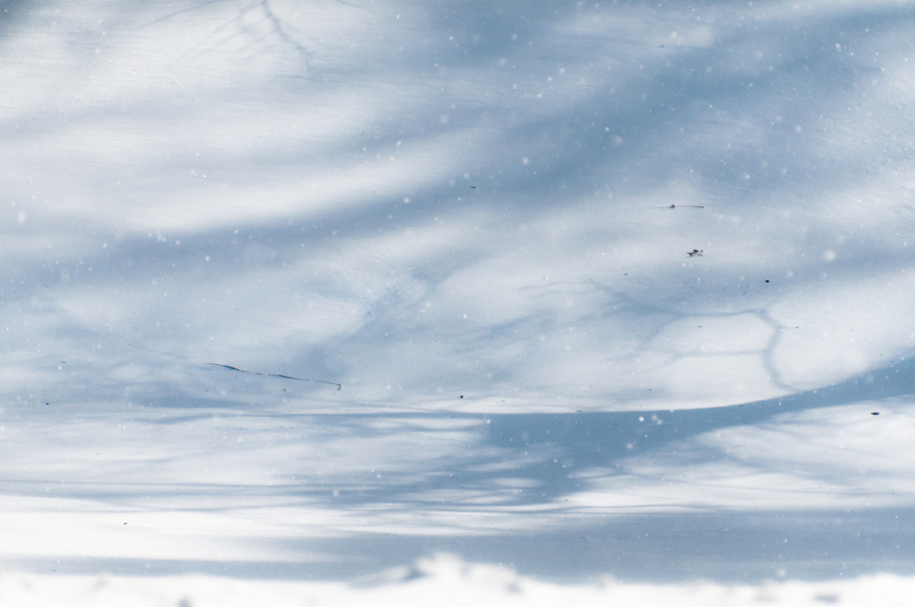 雪面はOcean