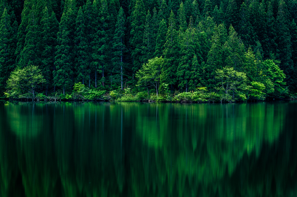 凛景　