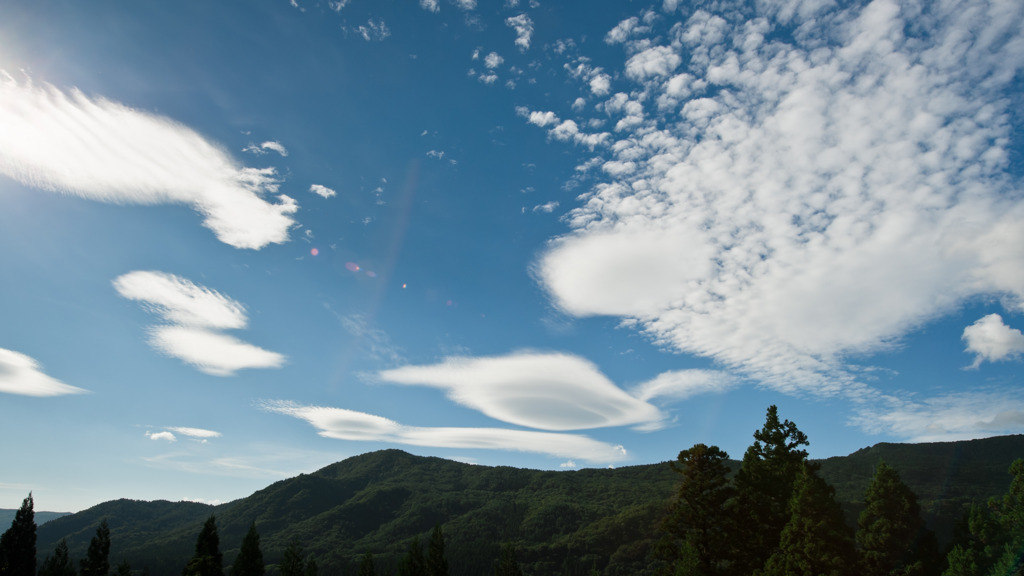 のほほんUFO！？