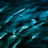 眠れない夜　泳げないOcean
