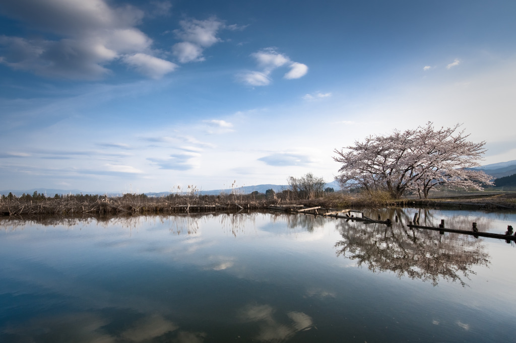 雲の流れの早い春のとある日