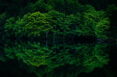 静寂波動　